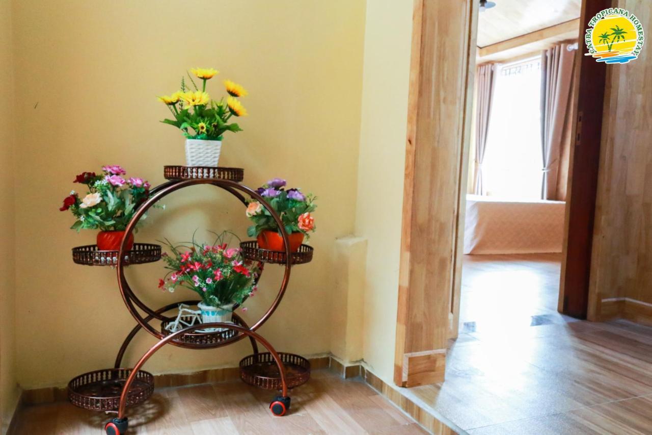 Cat Ba Tropicana Homestay Cat Ba Island ภายนอก รูปภาพ